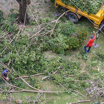 land clearing